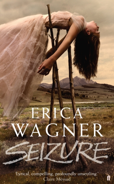 Book Cover for Seizure by Erica Wagner