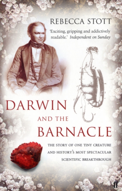 Book Cover for Darwin and the Barnacle by Rebecca Stott