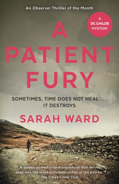 Book Cover for Patient Fury by Ward, Sarah