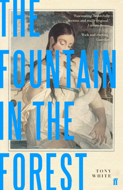 Book Cover for Fountain in the Forest by Tony White