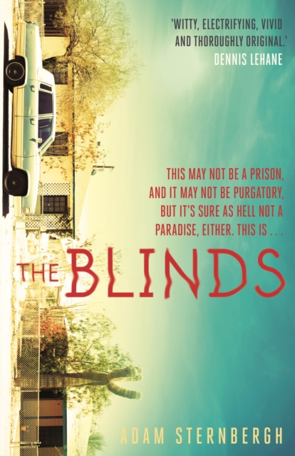 Book Cover for Blinds by Adam Sternbergh