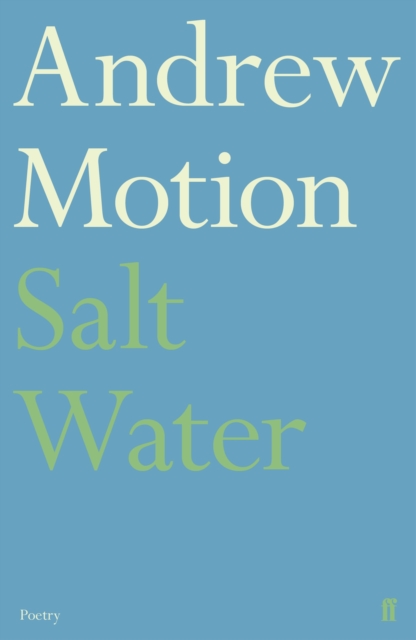 Book Cover for Salt Water by Andrew Motion