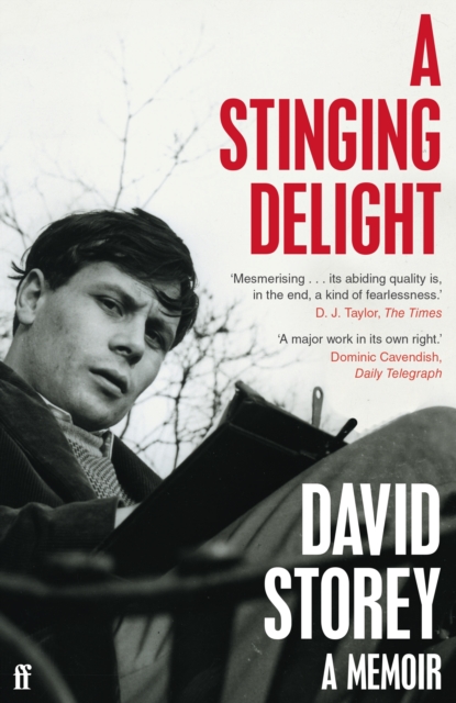 Book Cover for Stinging Delight by David Storey