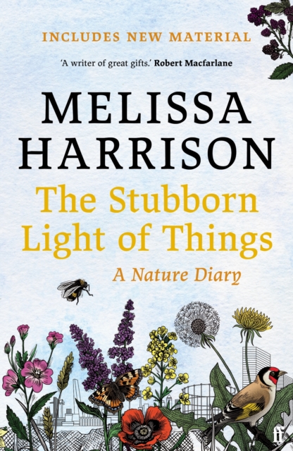 Book Cover for Stubborn Light of Things by Harrison, Melissa