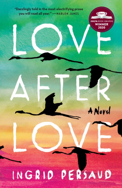 Book Cover for Love After Love by Ingrid Persaud