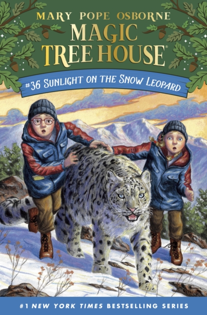 Book Cover for Sunlight on the Snow Leopard by Mary Pope Osborne