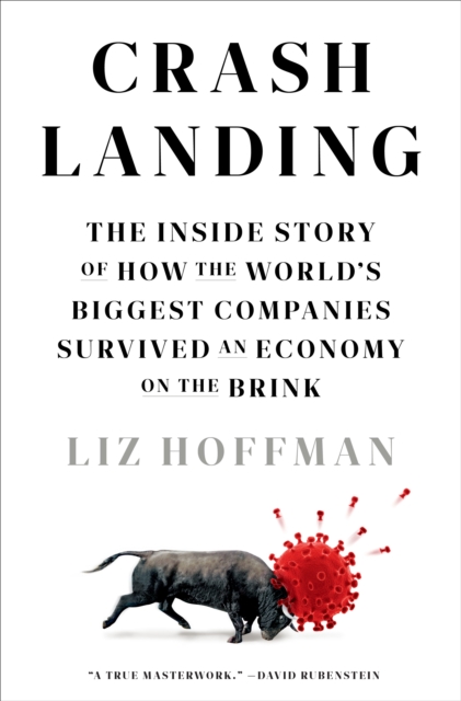 Book Cover for Crash Landing by Liz Hoffman