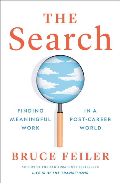 Book Cover for Search by Bruce Feiler