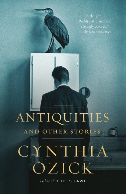 Book Cover for Antiquities and Other Stories by Cynthia Ozick