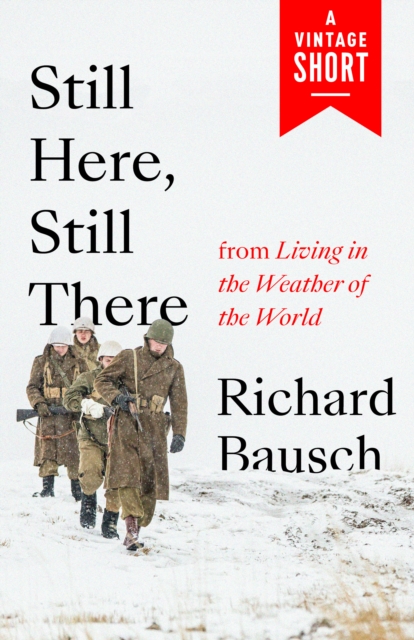 Book Cover for Still Here, Still There by Richard Bausch