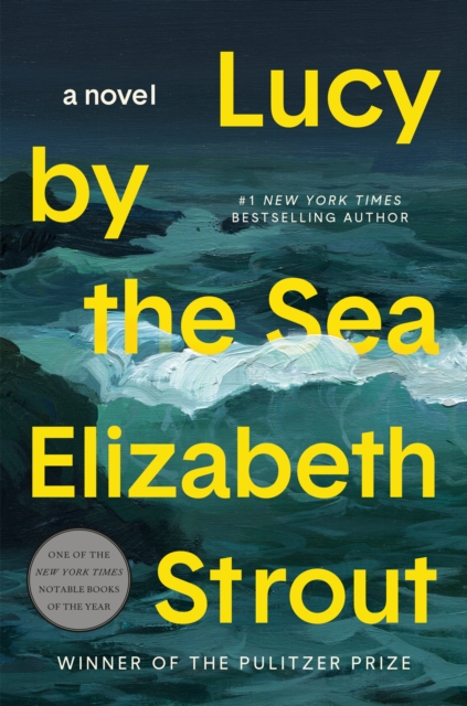 Book Cover for Lucy by the Sea by Elizabeth Strout