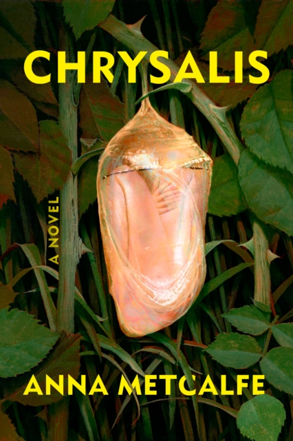 Book Cover for Chrysalis by Anna Metcalfe