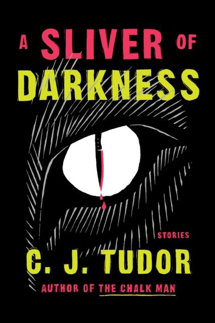 Book Cover for Sliver of Darkness by C. J. Tudor