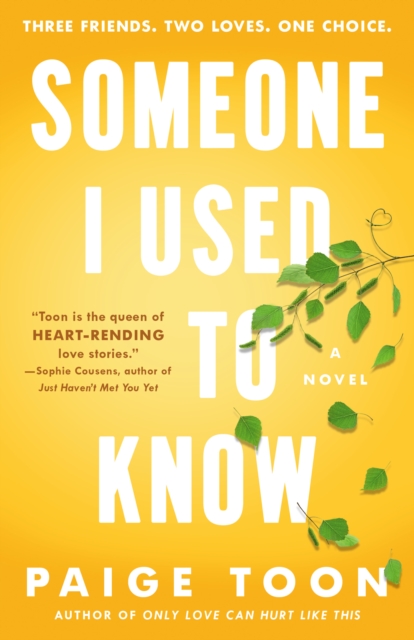 Book Cover for Someone I Used to Know by Paige Toon