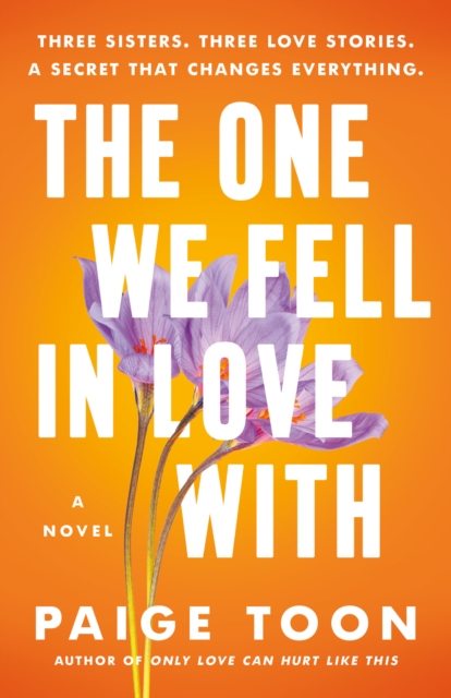 Book Cover for One We Fell in Love With by Paige Toon