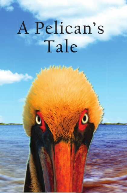 Book Cover for Pelican's Tale by Melissa Maxwell