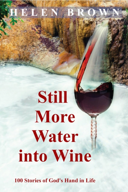 Book Cover for Still More Water into Wine by Helen Brown