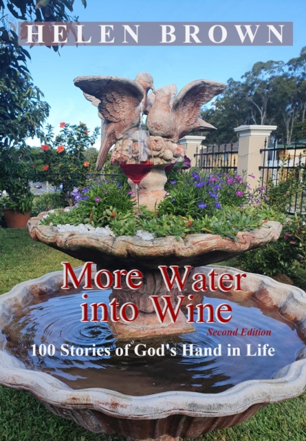 Book Cover for More Water into Wine by Helen Brown