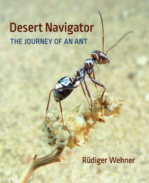 Book Cover for Desert Navigator by Wehner Rudiger Wehner