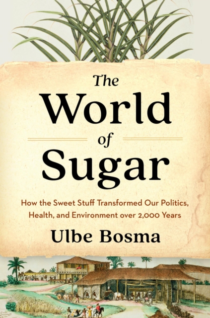 Book Cover for World of Sugar by Bosma Ulbe Bosma