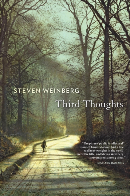 Book Cover for Third Thoughts by Weinberg Steven Weinberg