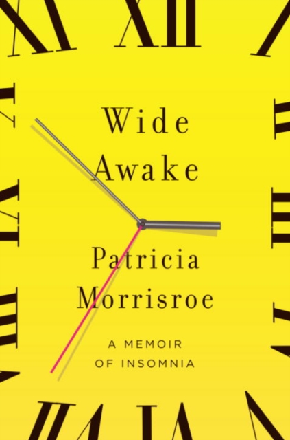 Book Cover for Wide Awake by Patricia Morrisroe