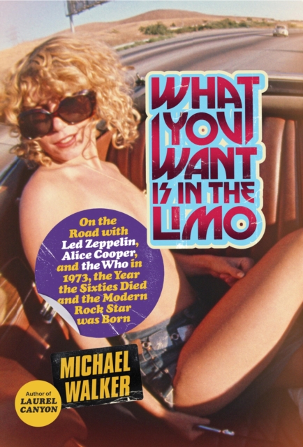 Book Cover for What You Want Is in the Limo by Michael Walker