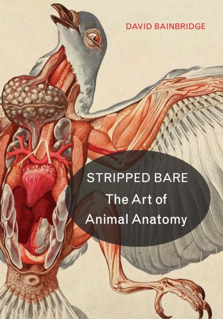 Book Cover for Stripped Bare by David Bainbridge