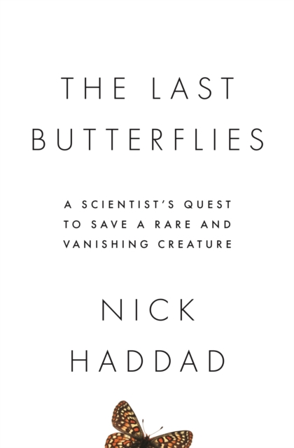 Book Cover for Last Butterflies by Nick Haddad