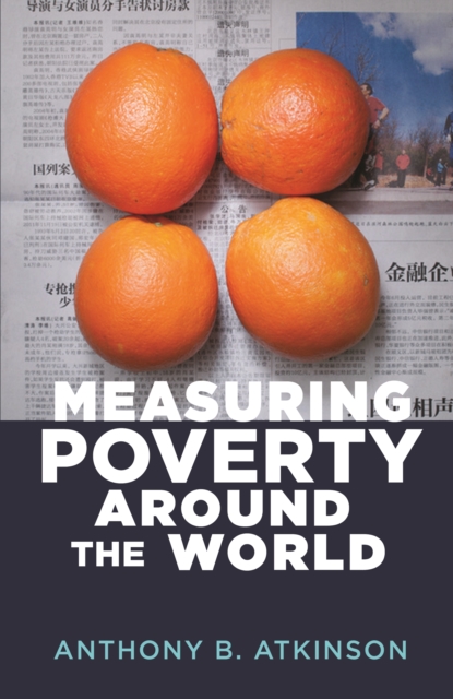 Book Cover for Measuring Poverty around the World by Anthony B. Atkinson