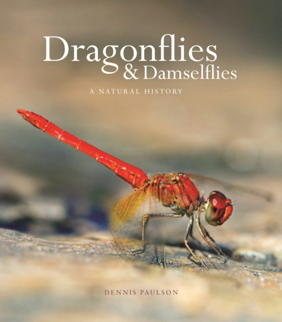 Book Cover for Dragonflies and Damselflies by Dennis Paulson