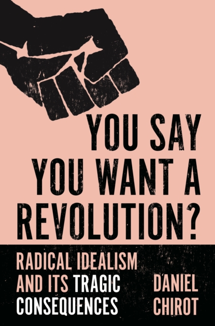 Book Cover for You Say You Want a Revolution? by Daniel Chirot