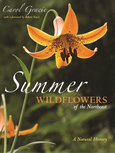 Book Cover for Summer Wildflowers of the Northeast by Carol Gracie