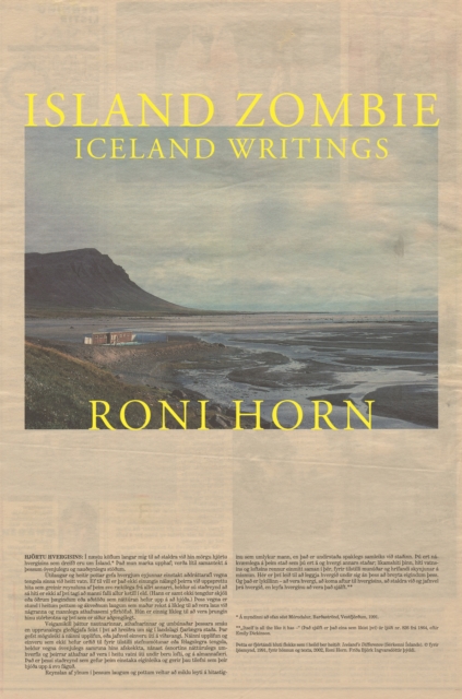 Book Cover for Island Zombie by Roni Horn