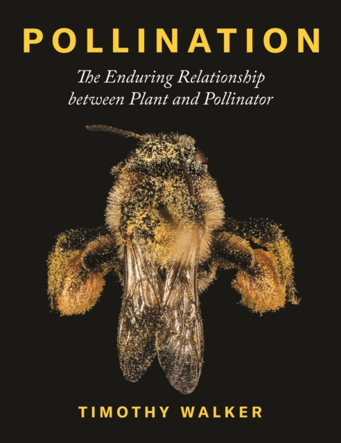 Book Cover for Pollination by Timothy Walker