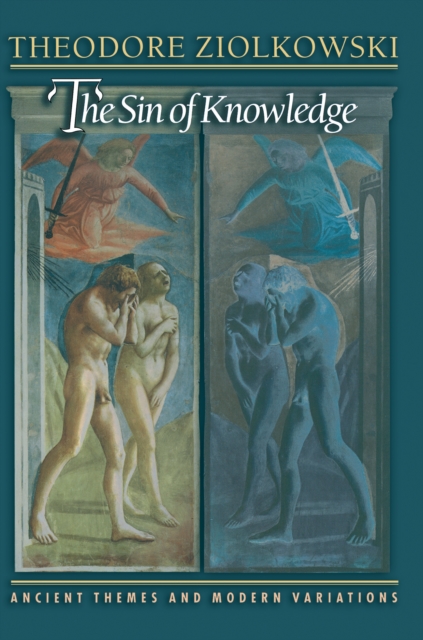 Book Cover for Sin of Knowledge by Theodore Ziolkowski