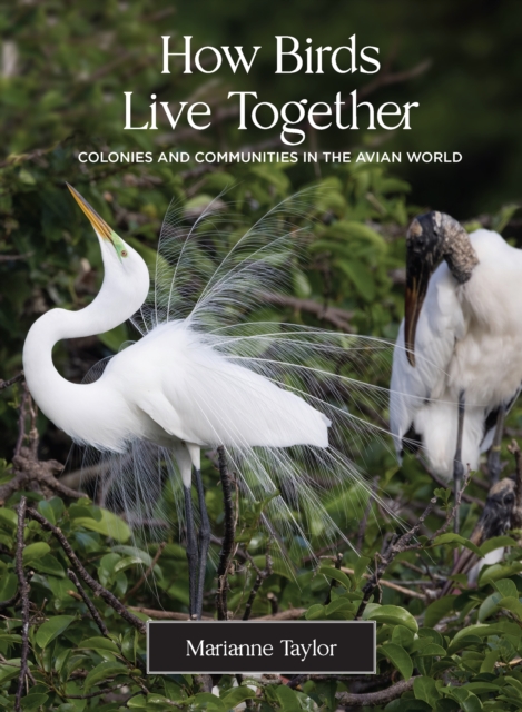 Book Cover for How Birds Live Together by Taylor, Marianne