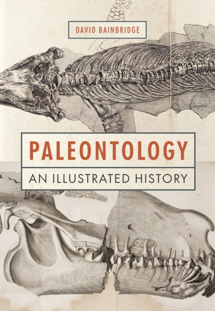 Book Cover for Paleontology by Bainbridge, David