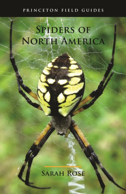 Book Cover for Spiders of North America by Sarah Rose