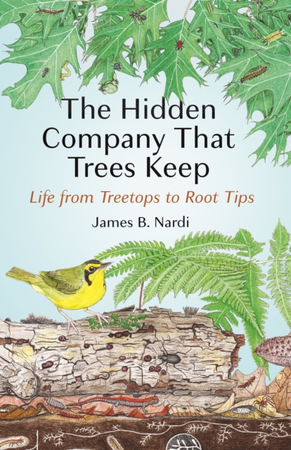 Book Cover for Hidden Company That Trees Keep by Nardi, James B.