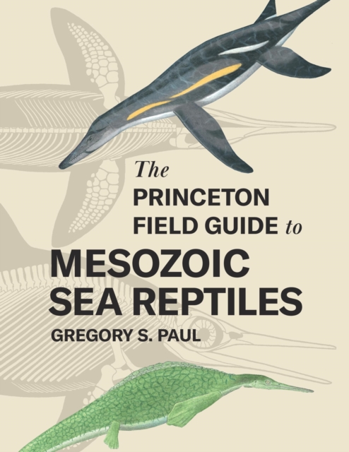 Book Cover for Princeton Field Guide to Mesozoic Sea Reptiles by Paul, Gregory S.