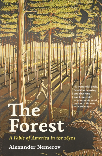 Book Cover for Forest by Alexander Nemerov