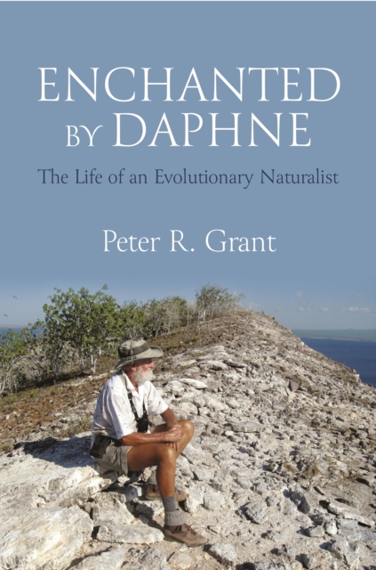 Book Cover for Enchanted by Daphne by Grant, Peter R.