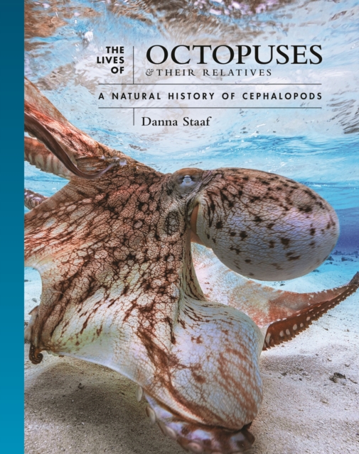 Book Cover for Lives of Octopuses and Their Relatives by Staaf, Danna