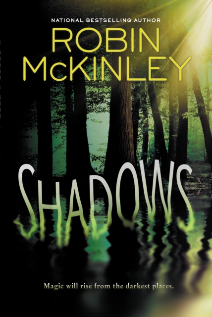 Book Cover for Shadows by Robin McKinley