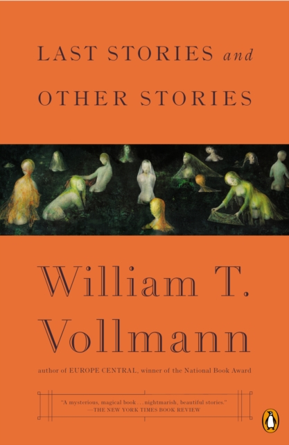 Book Cover for Last Stories and Other Stories by Vollmann, William T.