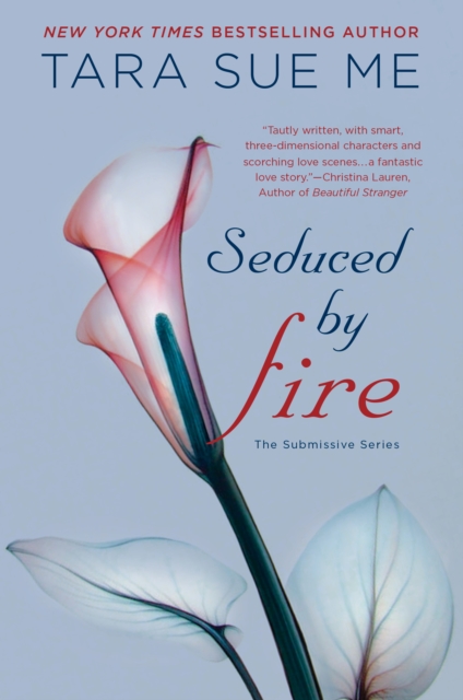 Book Cover for Seduced By Fire by Tara Sue Me