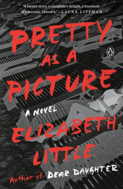 Book Cover for Pretty as a Picture by Little, Elizabeth