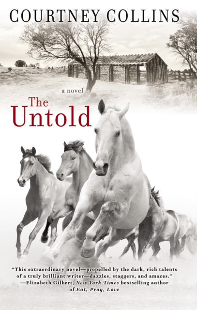 Book Cover for Untold by Courtney Collins