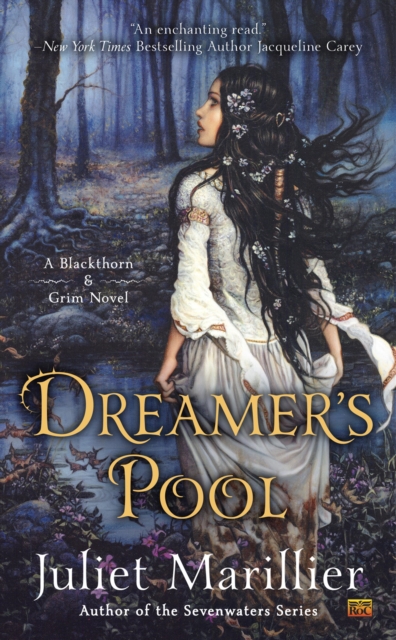 Book Cover for Dreamer's Pool by Juliet Marillier